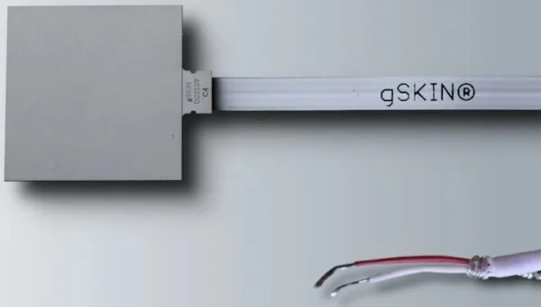 Heat Flux Sensor with Flying Leads