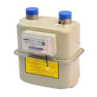 Gas Meters