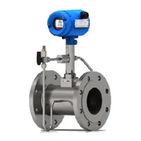 Vortex Flow Meter